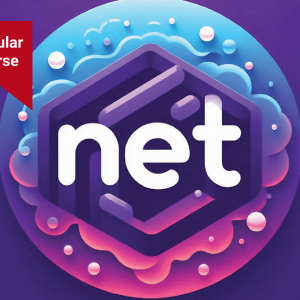 Popular .NET Course