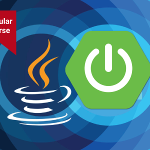 Mastering Java with Spring Boot